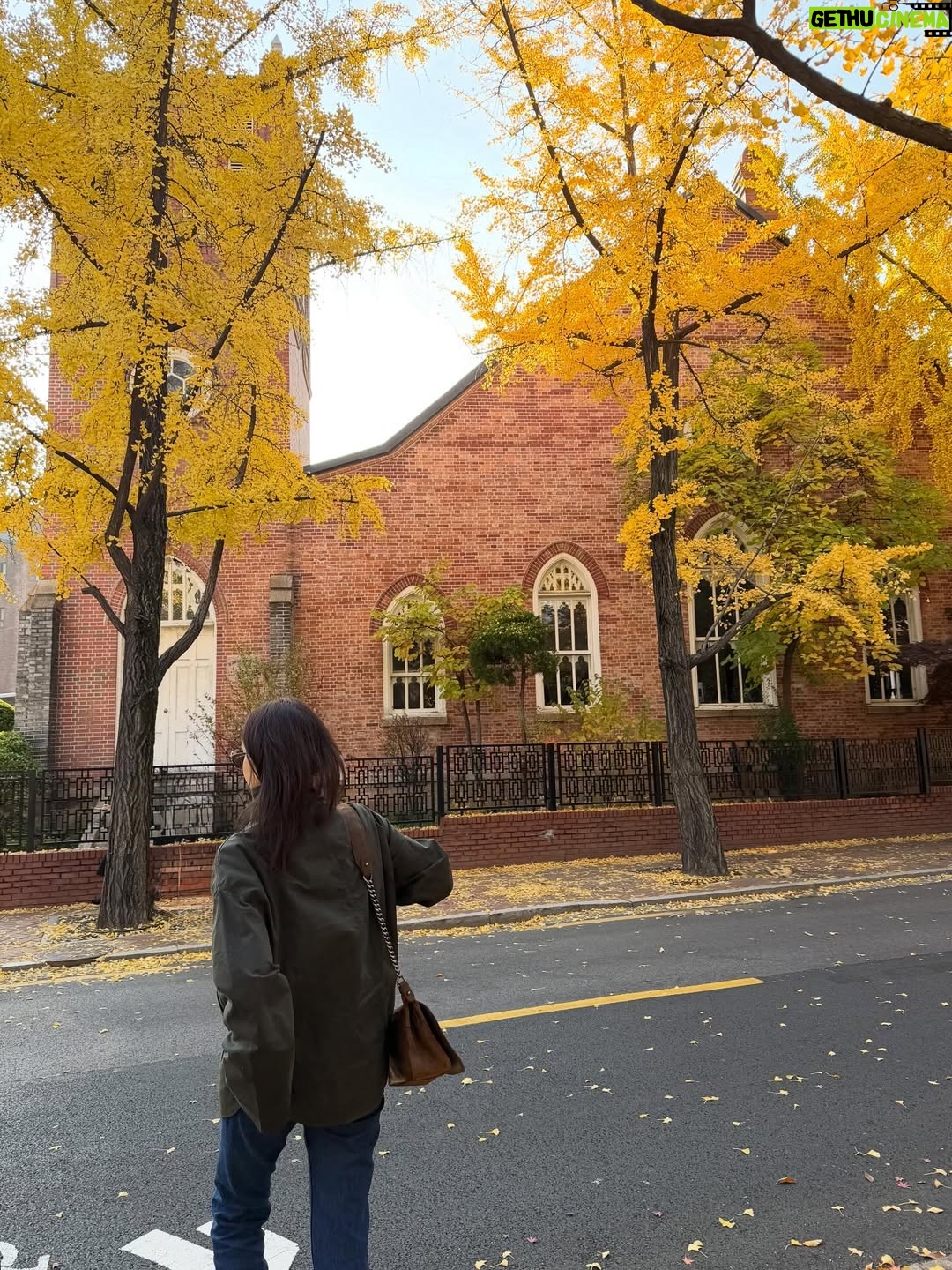 Choi Ji-woo - 28.4K Likes - 🍁🍂