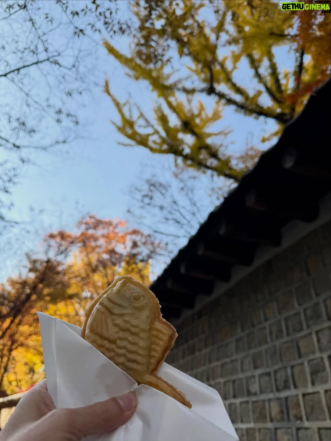 Choi Ji-woo - 28.4K Likes - 🍁🍂