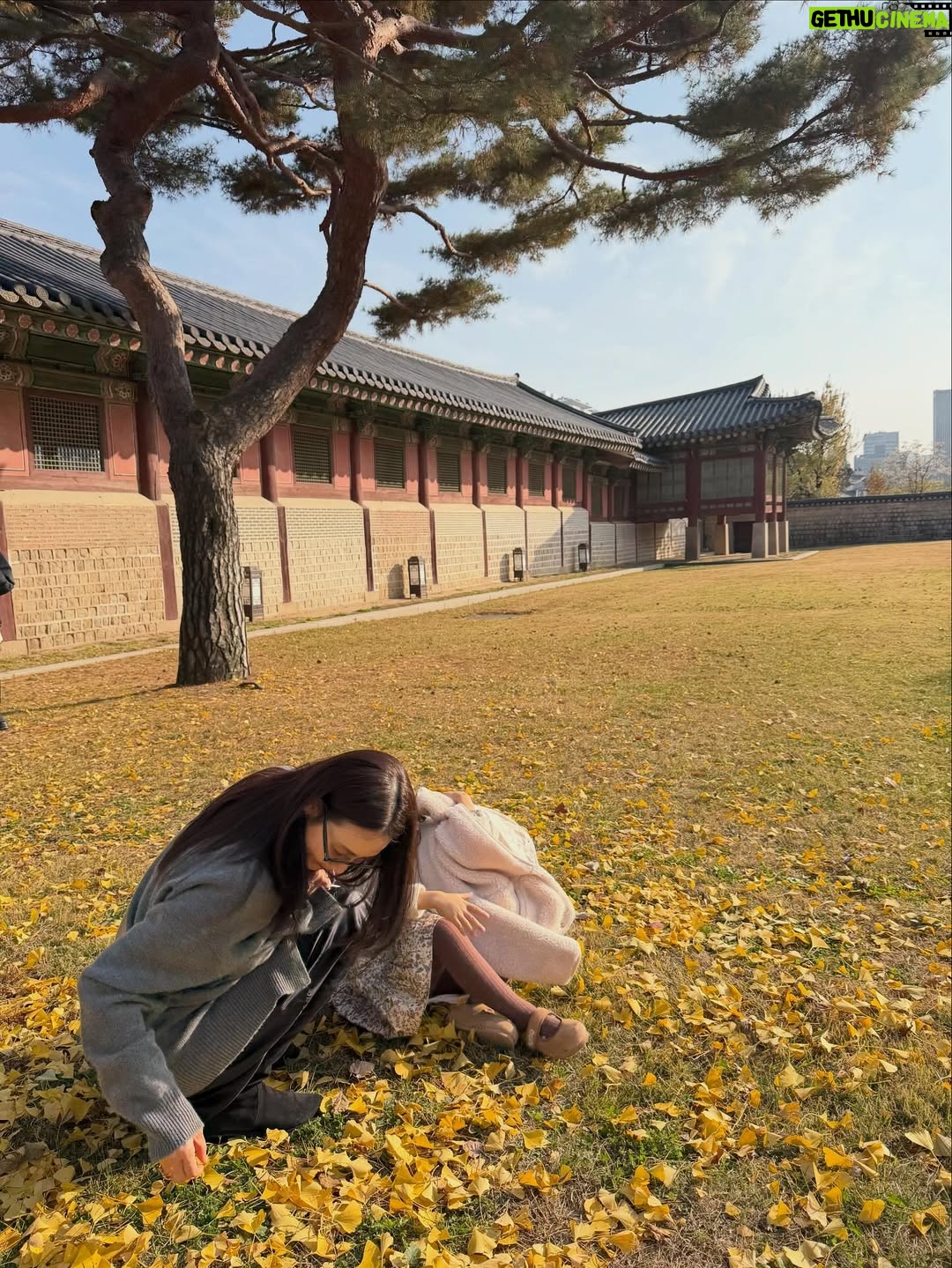 Choi Ji-woo - 28.4K Likes - 🍁🍂
