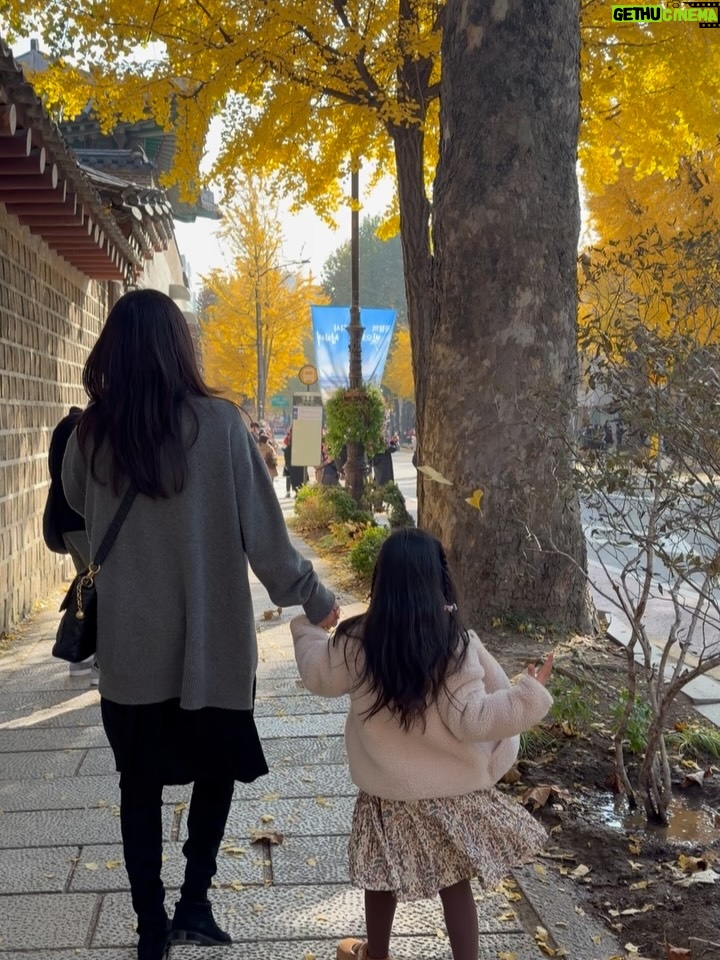 Choi Ji-woo - 28.4K Likes - 🍁🍂