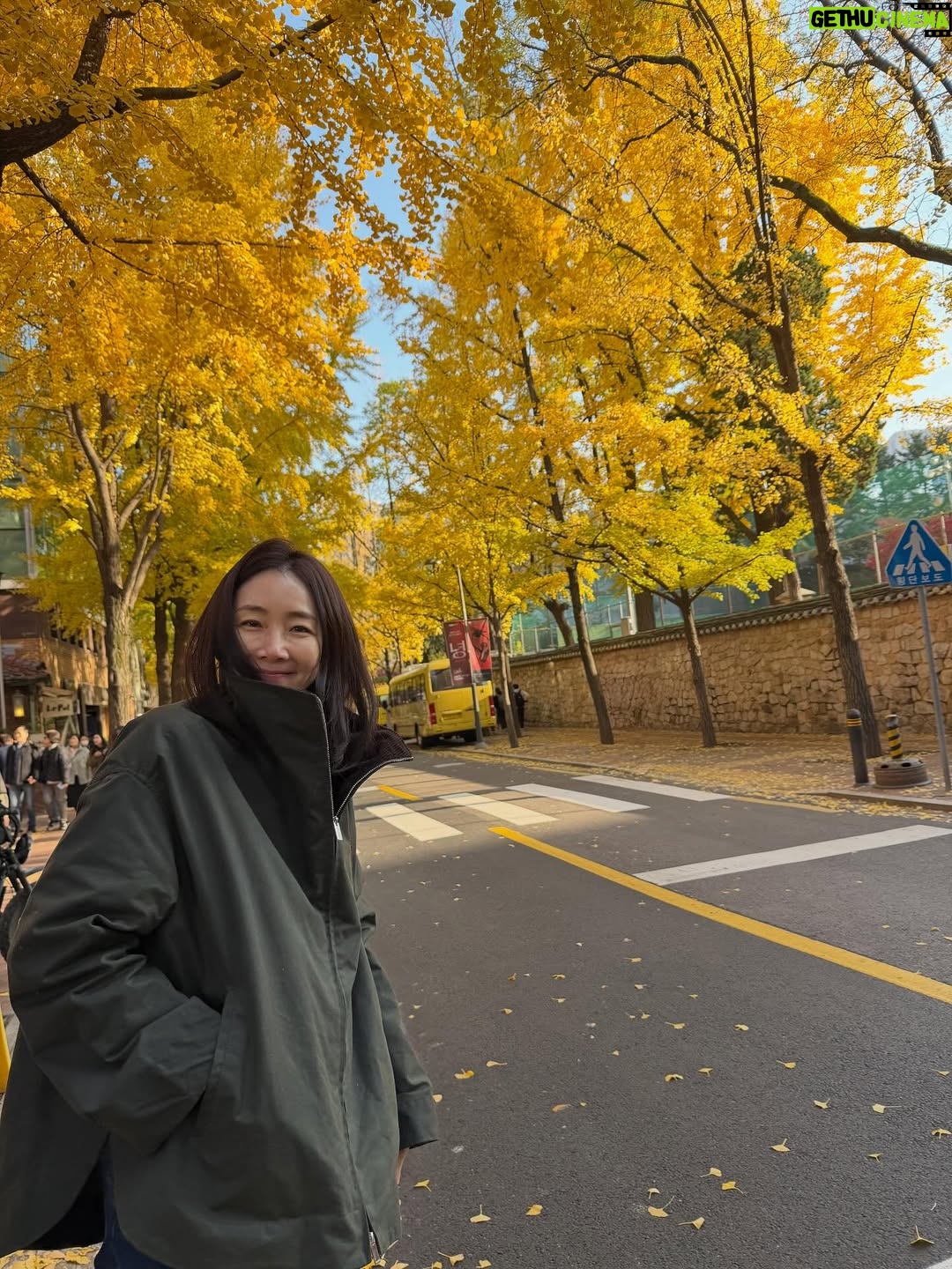 Choi Ji-woo - 28.4K Likes - 🍁🍂