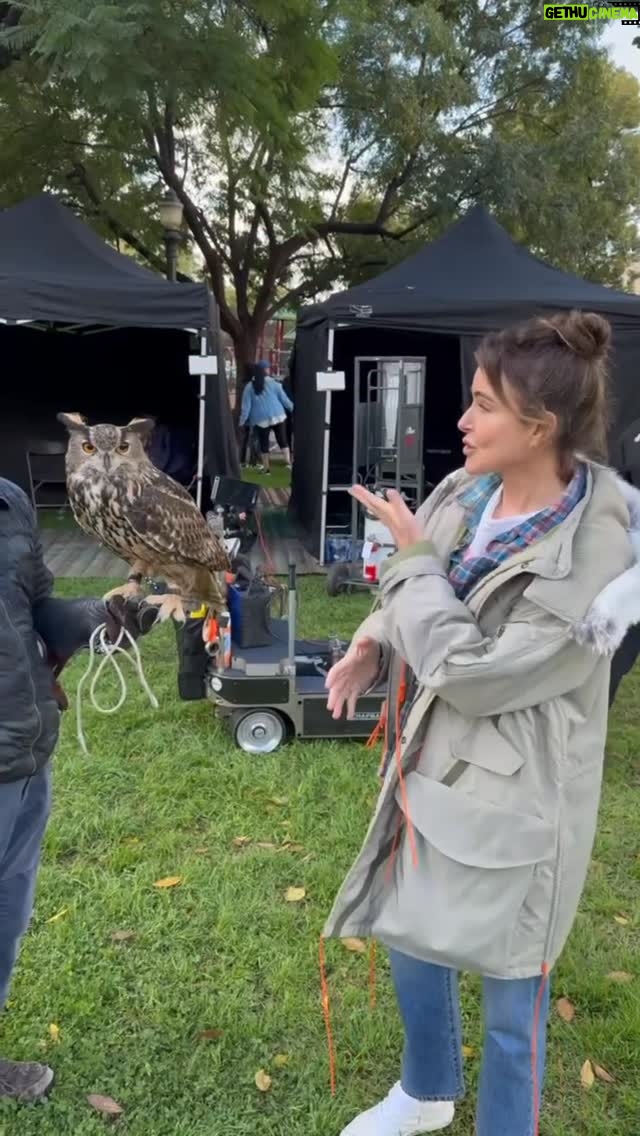 Christa Miller - 18K Likes - When the parrots get chatty in Pasadena, our secret sound department crew member, Lowell the Owl, steps in 💁‍♀️🦉 He’s the Liz of the crew 😂 Just a little movie magic trick from behind the scenes 🎥✨ 

Season 3 #shrinking premieres January 28!