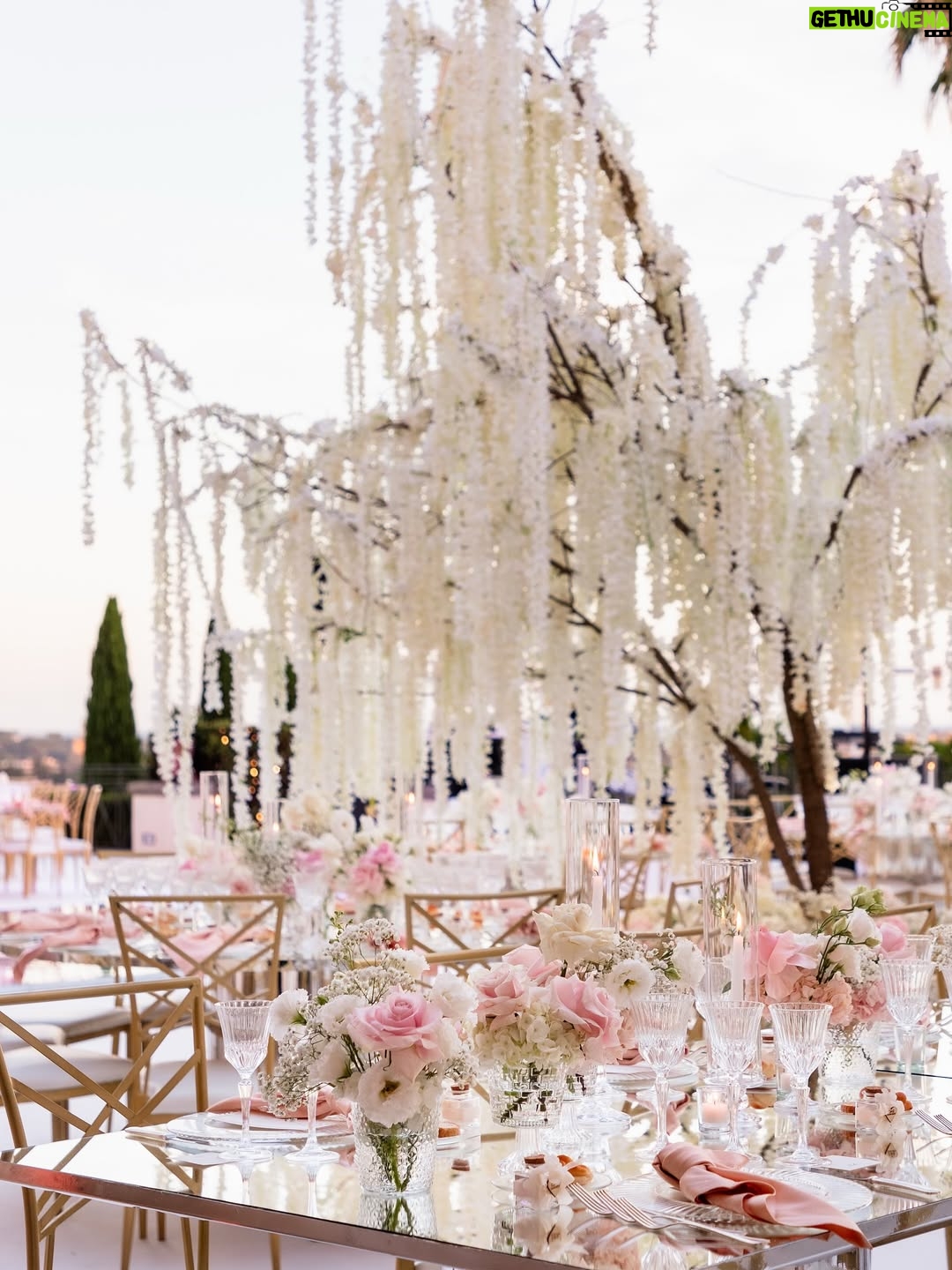 Cindy Marina - 6.3K Likes - Dinner reception of my dreams 🕯️

A big thank you to the wonderful @erikamorgera , Riccardo and the whole team for your tireless work to make this vision come to life! It’s truly beyond my wildest dreams 🩷