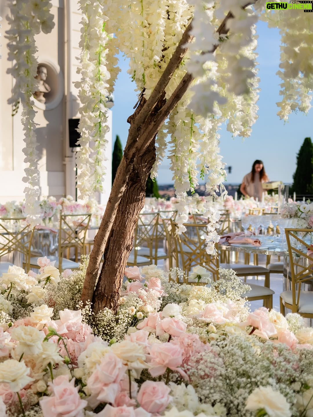 Cindy Marina - 6.3K Likes - Dinner reception of my dreams 🕯️

A big thank you to the wonderful @erikamorgera , Riccardo and the whole team for your tireless work to make this vision come to life! It’s truly beyond my wildest dreams 🩷
