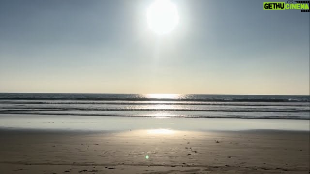 Constance Zimmer - 1.7K Likes - The sudden loss of my mother has hit me with a grief I have never known before and I’ve known a lot of grief. 
My mom had lived in Venice for over 30 years…She loved the beach, the people, the walk streets, the community and the history to name a few. 
She fought for underserved communities and people, for the protection of nature, for history to be upheld and respected, for all individuals to be heard, seen and appreciated for standing up for what’s right. 
I can’t quite understand how she’s not here anymore. 
I can feel her spirit all around me and in all the shaking voices and messages of her friends who she touched and loved. 
We had plans, we had so many more conversations to have, we had so much life to still live together.
It’s only been 3 days and I miss her so much already.
One of her favorite places was the beach, so we went there.

Take a moment to listen to the serenity of the waves and watch the tide come in and out, take a deep breath and remember to be thankful for the time you have with the ones you love, use it wisely. 
Always remember to say I love you. 
Rest in Peace Mom, you deserve it, as your friends have said “you earned your wings.” 
I love you so very much.