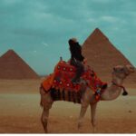 Dalia Shawky