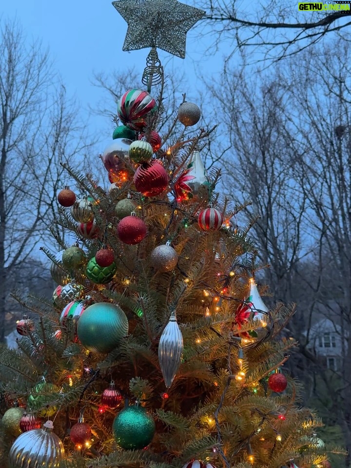 Damaris Phillips - 5K Likes - I want the holidays to “feel” like the holidays but if I’m too busy or working too hard to make it perfect, then I miss all the moments that actually matter. Did you have a moment to settle and feel some joy? Here are some of the tiny joys I noticed this week? 
Meticulously putting lights on the tree with Darrick and Dave 
All the tables being “kid tables”
Borrowing the tie Darrick was wearing the first night we met
Helping my nephew make pumpkin pie
Abracadaniel’s sweet little sleepy face
This thrift store t-shirt score! 
The look on Poppy’s face
Peddlers mall Santa ornament
Good English muffins I found at Whole Foods
Tiny martini 
Abracadaniel in a sea of quilts
Making holiday gifts
This sweet little confused flower
Using my Great Grandmothers china 
Teaching the next generation Grammy’s cranberry delight recipe
Homemade Skyjo. I didn’t win 
Persimmons 
Jingle bells hung from the lights
Buttermilk biscuits almost too pretty to eat
Only noticing the gaping hole in our “meticulously” strung lights after we stepped back to admire our finished work😂😂😂