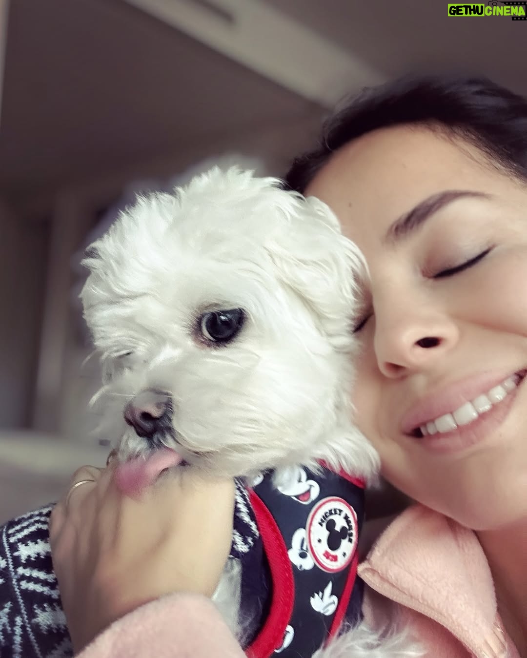 Danna García - 26.3K Likes - Para los que tienen el corazón lleno de huellas 🐾🩵✨

…amor puro. 

#amolosanimales❤️ 
#animallovers #Amorincondicional