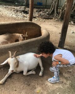 Danna García Instagram - Para los que tienen el corazón lleno de huellas 🐾🩵✨
…amor puro.
#amolosanimales❤️
#animallovers #Amorincondicional