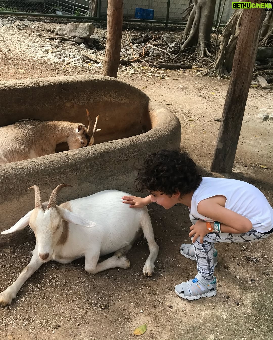 Danna García - 26.3K Likes - Para los que tienen el corazón lleno de huellas 🐾🩵✨

…amor puro. 

#amolosanimales❤️ 
#animallovers #Amorincondicional