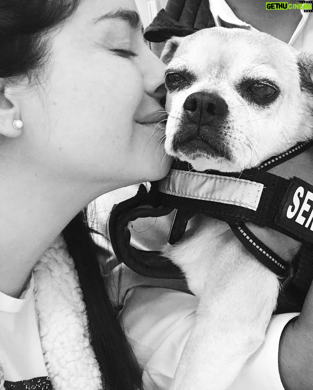 Danna García - 26.3K Likes - Para los que tienen el corazón lleno de huellas 🐾🩵✨

…amor puro. 

#amolosanimales❤️ 
#animallovers #Amorincondicional