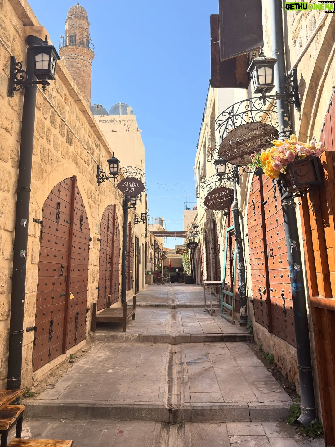 Dilara Kurtulmuş - 24.4K Likes - Mardin memories🕌🤎✨

Kaldığımız otel : @rec326_ 🫶🏼 

#reklam