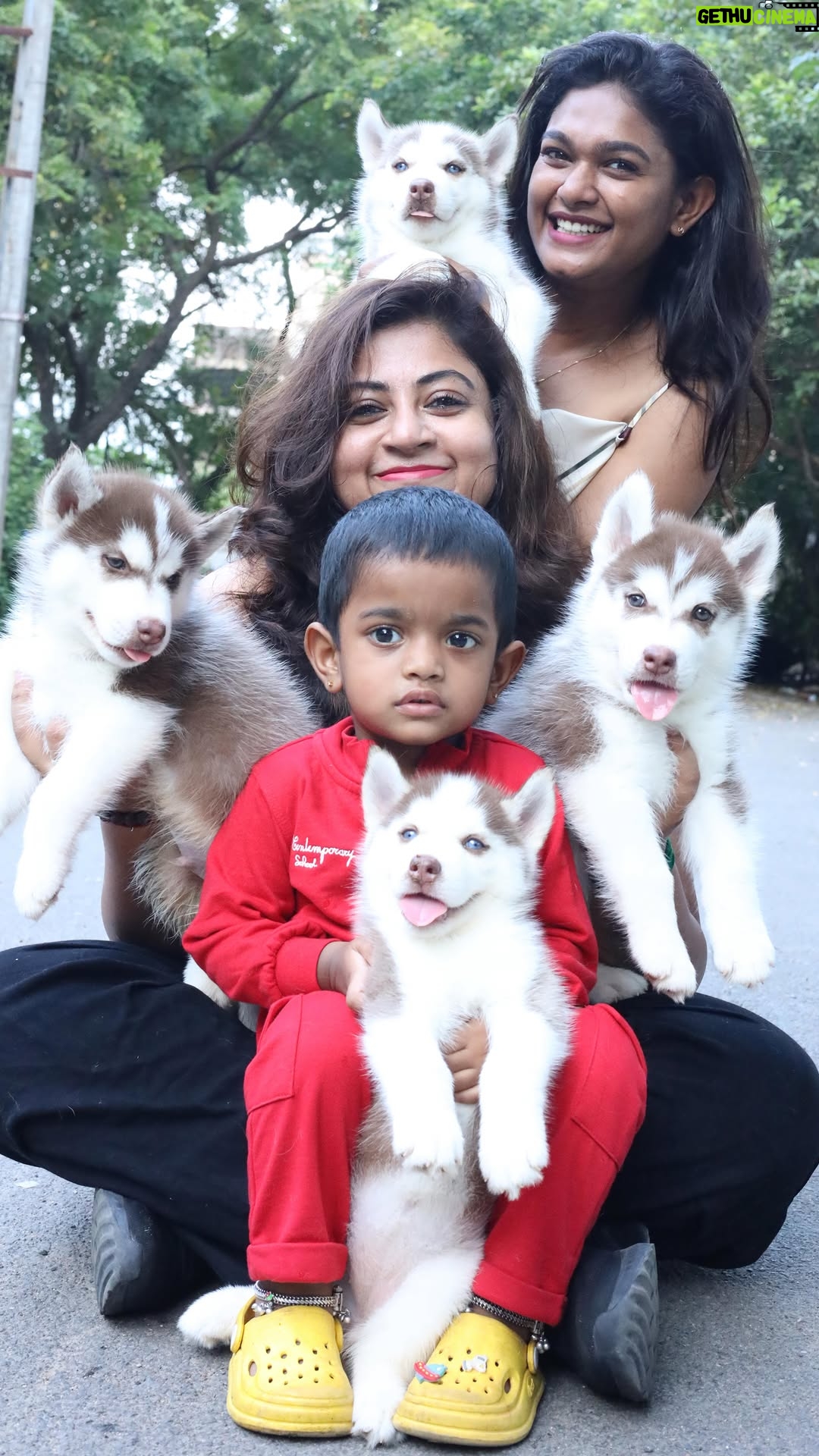 Divya Bharathi Vetrivel - 3.5K Likes - HUSKY PUPPIES FOR SALE
• Purebred
• Healthy & active
• Vaccination done
• BLUE& GREY eyes available
• Ready for new homes
📞 Contact for price & photos
 9962026660
