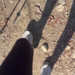 Ebony Obsidian