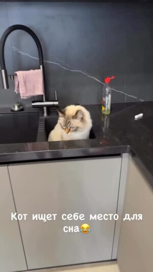 Ekaterina Kokorina Instagram - Место для сна, которого мы достойны 😂😂😂