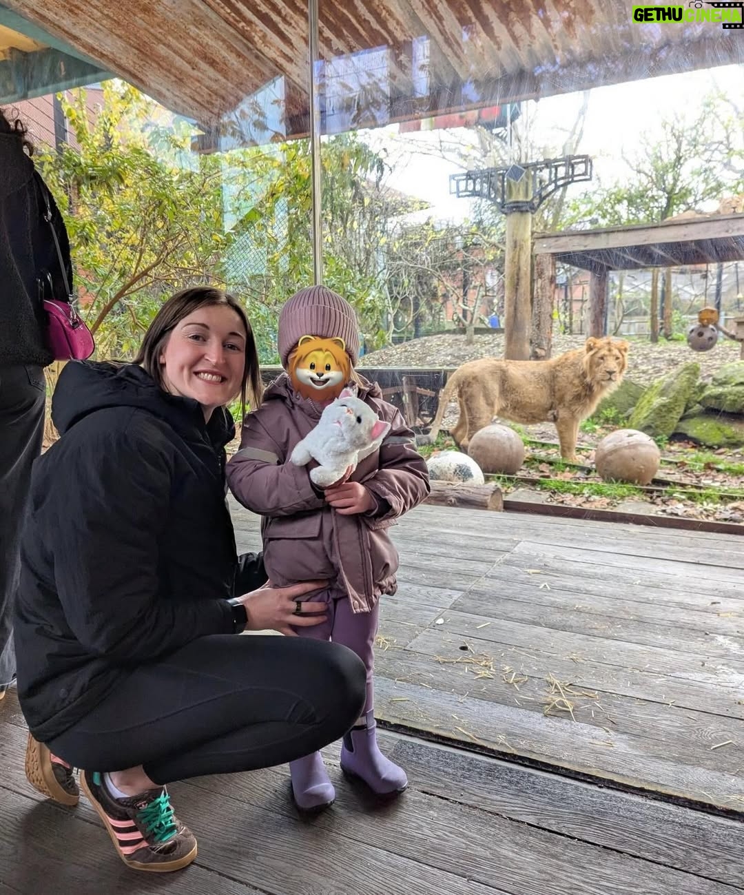 Ellen White - 7K Likes - What a moment @zsllondonzoo two Lionesses introducing their babies to each other 🥰 Daddy Lion was up for the photos 😂 Huge thank you to their zookeeper who helped us learn all about the lions and the wonderful work they do to look after these beautiful animals! 

Feeding the Giraffes was such a special moment to share as a family. To see these stunning animals up close and personal was such a wonderful experience. They were so gentle and we learnt so much about them from their amazing zookeepers. 

Huge thank you to @zsllondonzoo for making this possible and for a wonderful fun filled day ☺️ It really made our festive weekend in London even more memorable!