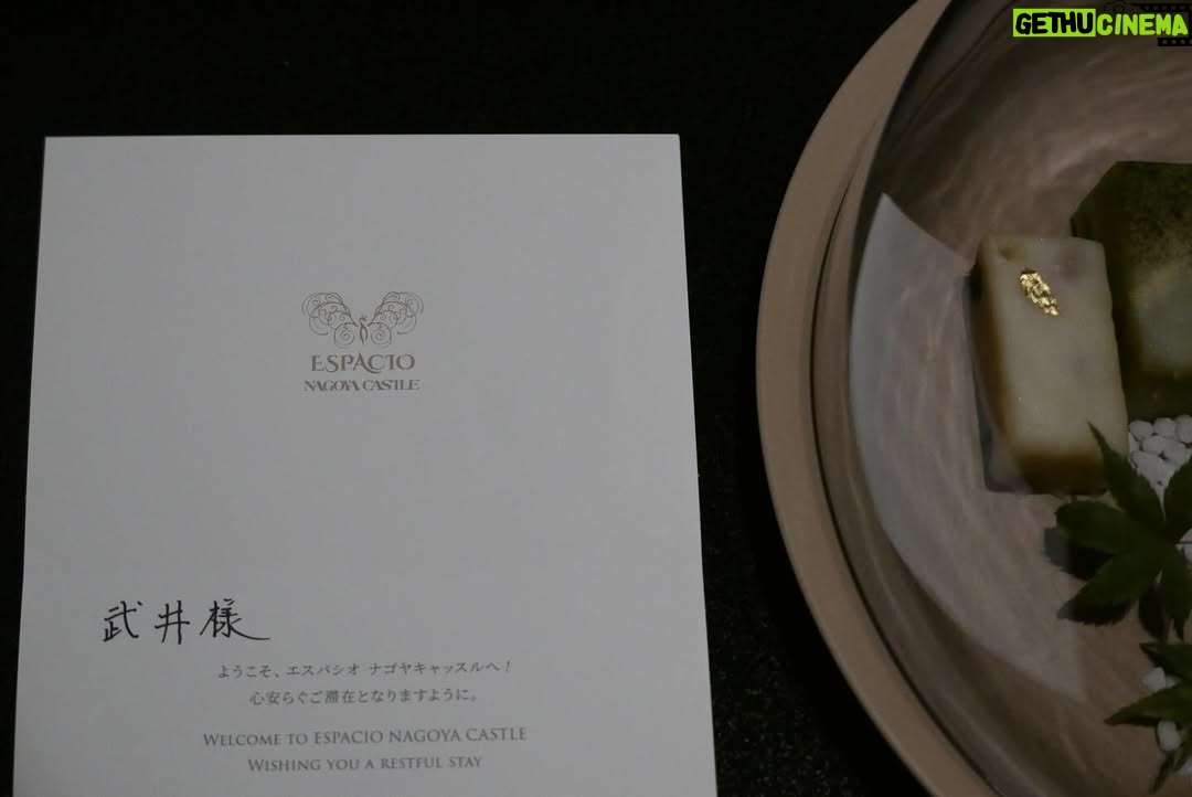 Emi Takei - 44.3K Likes - ESPACIO NAGOYA CASTLE 
開業セレモニーへ駆けつけました。
名古屋城の借景･･･圧巻でした、、！✨