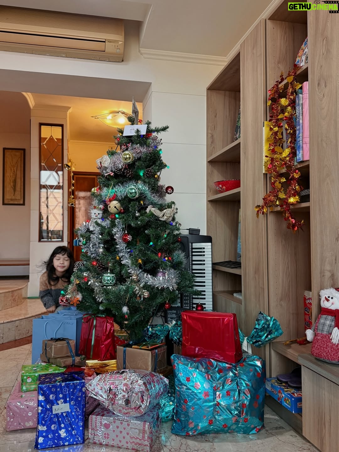 Emmie Reis - 10K Likes - 雷雷們祝大家聖誕快樂！
💫🎄☃️

My favorite holiday of a year!
Full of love, hugs n blessings with family n friends

2026年新希望：
心想、放輕鬆、事便成：）❤️