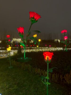 Endi Demneri Instagram - That time of the year 🎄