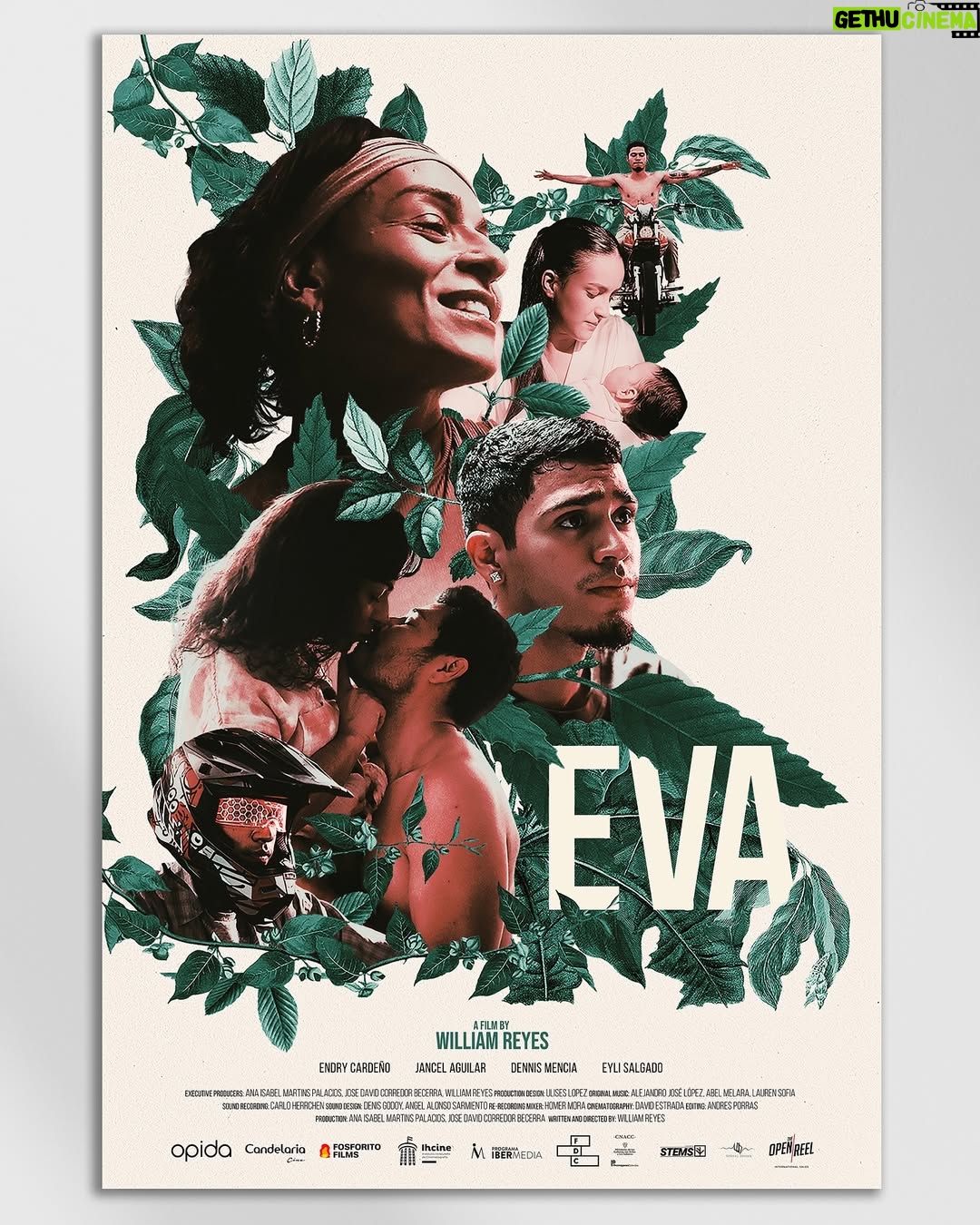 Endry Cardeño - 339 Likes - Póster oficial internacional de Eva

Protagonizada por @endrystar junto a un elenco extraordinario @jancelagui @dennismenciaofficial que da vida a esta historia dirigida por @mwilliamreyes 

Gracias a todo el equipo artístico y técnico que hizo posible esta película, una coproducción entre Honduras y Colombia.

Ventas internacionales @the_open_reel 

#cinehondureño #EvaLaPelicula #ElNuevoCineHondureño #CineColombiano