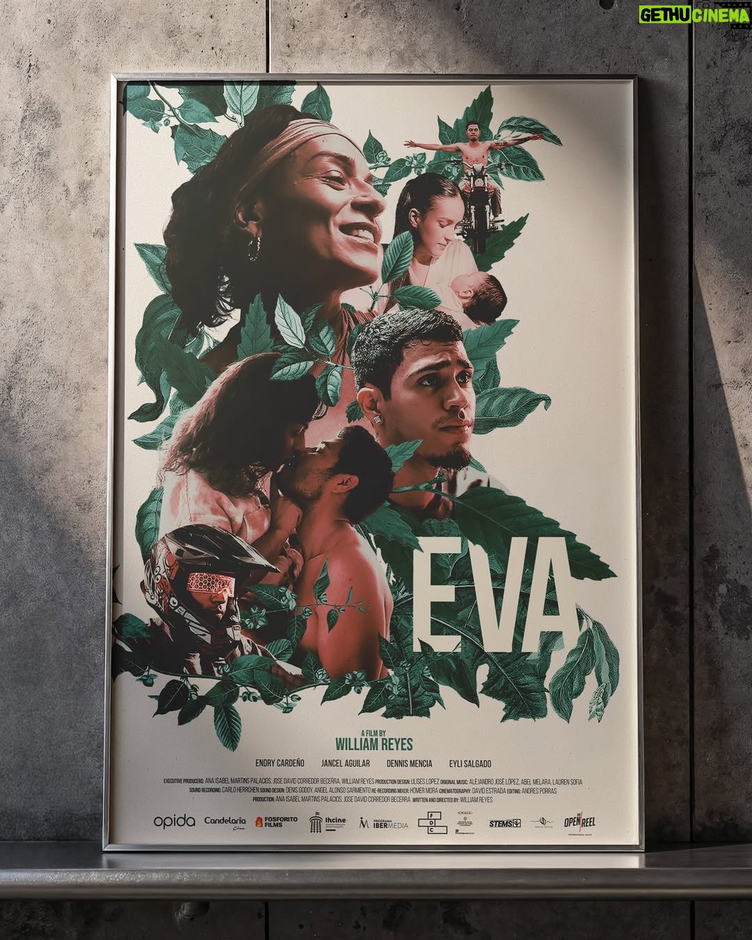 Endry Cardeño - 339 Likes - Póster oficial internacional de Eva

Protagonizada por @endrystar junto a un elenco extraordinario @jancelagui @dennismenciaofficial que da vida a esta historia dirigida por @mwilliamreyes 

Gracias a todo el equipo artístico y técnico que hizo posible esta película, una coproducción entre Honduras y Colombia.

Ventas internacionales @the_open_reel 

#cinehondureño #EvaLaPelicula #ElNuevoCineHondureño #CineColombiano