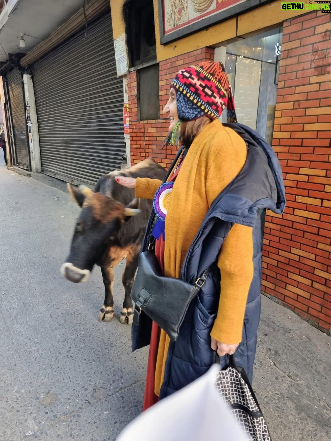 Eva Holubová - 5.7K Likes - Tak jsem vcera priletela, praskla sebou v obyvaku na pohovku a propadla se . Jeste jsem se vlastne uplne nevratila cela. A nez tak ucinim, musim si toho spoustu srovnat. Díky Vsem a Vsemu, ze jesm to mohla zazit a moc bych to chtela predat i vam , kteri o to budete mit zajem. @czechssupporttibet , tohle je nase organizace, jejiz jsem patronkou, ale zalozila ji @katerina_jacques @premysl_rabas_senator_chomutov , samozrejme Martin Bursik. A ja bych byla rada, abyste ji poznali, abyste poznali JS, jeho Svět, je o vasim Světem a vita vas s otevrenou naruci. Je to dulezite pro osobni rozvoj, osobni strasti, ze kterych je nas budhismus schopen vymanit, ale dulezite to je i v pohledu na Svet a zivot v nem. Posiluje lasku k zivotu a viru v nadeji. Citim jako uzasnou shodu, ze zrovna dnes budeme zapalovat treti svicku , ruzovou , GAUDETE!!!! 🕊️😌❤️Radujme se ze zivota, kdykoliv to jde, naplno a se vsemi, a kdyz to opravdu vypada, ze to nejde, vzpomente na ukrajinske lidi v krytu, cim prochazeji a jaka z nich jde sila, kdyz zpivaji. Tibetane o tom vi sve. Vzali nas do muzea, na konci expozice byly zabery brutalnich zasahu čínských těžkooděnců, na hořící pochodně, mladých lidi, kteří se upaluji ma protest proti čínskému teroru. Nikdo nevi, kolik od 2009 presne, ale vice, jak 160. Cina taky “zabavuje” tibetskym rodinam deti a dava je na prevychovu. Musi to ukrutne bolet, ale Tibetane dovedou zatnout zuby a neustoupit i za tyhle obeti. A dal se hlasi o sva prava. A mizi jedna Tibetska vesnice za druhou, probiha genocida….a?? Hezkou adventni nedeli, Gaudete, a s ni at mam soucit a lasku k bliznimu.
Priste vam povim, jak jsem byla hrda na nase politiky, vzdelane, chytre, vtipne, ale i velmi shovivave vuci nam lajkum.