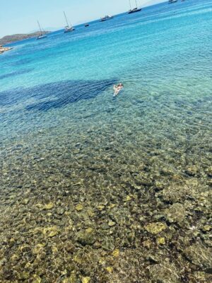 Evrim Alasya Instagram - 