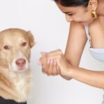 Farnaz Shetty