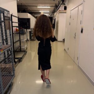 Gina Dirawi Instagram - Sveriges sämst bevarade hemilighet är ute!
Efter tio år är det äntligen dags igen att leda Melodifestivalen 2026, nu för fjärde gången!
Denna gång med @hampusnessvold !
Vi kommer ha så kul, jag har saknat er🤍
@melodifestivalen