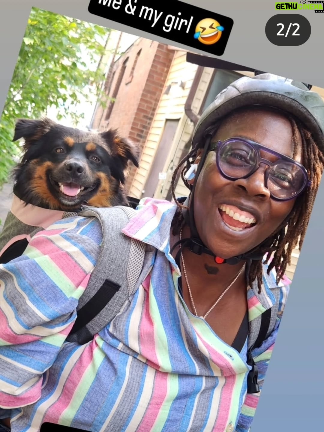 Gina Yashere - 7.2K Likes - I didn't think this year could get any worse.
On Tuesday we lost our beloved Kemi in a tragic accident.
You have no idea the agony  that me & Nina are going through. 
When I say I loved that dog with my whole heart. 
Someone said to me yesterday that dogs leave you better than they found you. I say yes & no. Yes, my heart expanded and I discovered a capacity for love for this little creature that I never thought was possible. No, in that now my heart is bigger, there is more to break, and mine is fuckin pulverized. Kemi made me better. I have no patience for people, but had all of it for her. I'm not crazy affectionate, but I must have kissed her forehead a hundred times a day. My voice went up 6 octaves when I spoke to her. Nina laughed at me for that. 
Nina and I can only take solace in the fact that we gave Kemi the best life a dog could ask for.
Kemi was happy, confident, gentle, stubborn and free spirited because she knew she was cherished.
I wish we could have had more than just 5 years with her, but it is what it is.
 I think she sent me a message here in Toronto as she was dying. There was a puffer coat from @bobheartsabishola costume department that had the label Kemi (my character name) on the arm. I hadn't worn it for months, as Kemi had torn it when we were playing in the park one day, and the feathers were flying out. On Tuesday I had an urge to wear it to pickleball. As I was leaving,  I saw the Kemi label on the floor. I picked it up and tried to stick it back on the coat. It wouldn't stay.  I said to myself, 'Well that's the end of an era'. Put the label in my pocket & went back to my apartment. It was not long after, I got the call  that Kemi was gone.  I cried a lot after our #altadena dream home burned down, but I would have that house burn a 100 times if it got me my girl back. 
At least she died happy in our new dream home. Oh how she loved it there. She would disappear for hours coming back covered in mud, cowshit & God knows what else. She died a jungle dog. I can't believe my lil mini-me is gone.
Kayo is so sad and confused. She was his only friend.
This one is gonna be hard to get over. Love you forever Baby girl 💔