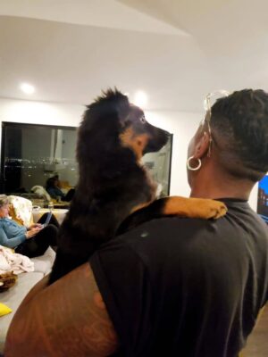 Gina Yashere Instagram - I didn't think this year could get any worse.
On Tuesday we lost our beloved Kemi in a tragic accident.
You have no idea the agony that me & Nina are going through.
When I say I loved that dog with my whole heart.
Someone said to me yesterday that dogs leave you better than they found you. I say yes & no. Yes, my heart expanded and I discovered a capacity for love for this little creature that I never thought was possible. No, in that now my heart is bigger, there is more to break, and mine is fuckin pulverized. Kemi made me better. I have no patience for people, but had all of it for her. I'm not crazy affectionate, but I must have kissed her forehead a hundred times a day. My voice went up 6 octaves when I spoke to her. Nina laughed at me for that.
Nina and I can only take solace in the fact that we gave Kemi the best life a dog could ask for.
Kemi was happy, confident, gentle, stubborn and free spirited because she knew she was cherished.
I wish we could have had more than just 5 years with her, but it is what it is.
I think she sent me a message here in Toronto as she was dying. There was a puffer coat from @bobheartsabishola costume department that had the label Kemi (my character name) on the arm. I hadn't worn it for months, as Kemi had torn it when we were playing in the park one day, and the feathers were flying out. On Tuesday I had an urge to wear it to pickleball. As I was leaving, I saw the Kemi label on the floor. I picked it up and tried to stick it back on the coat. It wouldn't stay. I said to myself, 'Well that's the end of an era'. Put the label in my pocket & went back to my apartment. It was not long after, I got the call that Kemi was gone. I cried a lot after our #altadena dream home burned down, but I would have that house burn a 100 times if it got me my girl back.
At least she died happy in our new dream home. Oh how she loved it there. She would disappear for hours coming back covered in mud, cowshit & God knows what else. She died a jungle dog. I can't believe my lil mini-me is gone.
Kayo is so sad and confused. She was his only friend.
This one is gonna be hard to get over. Love you forever Baby girl 💔
