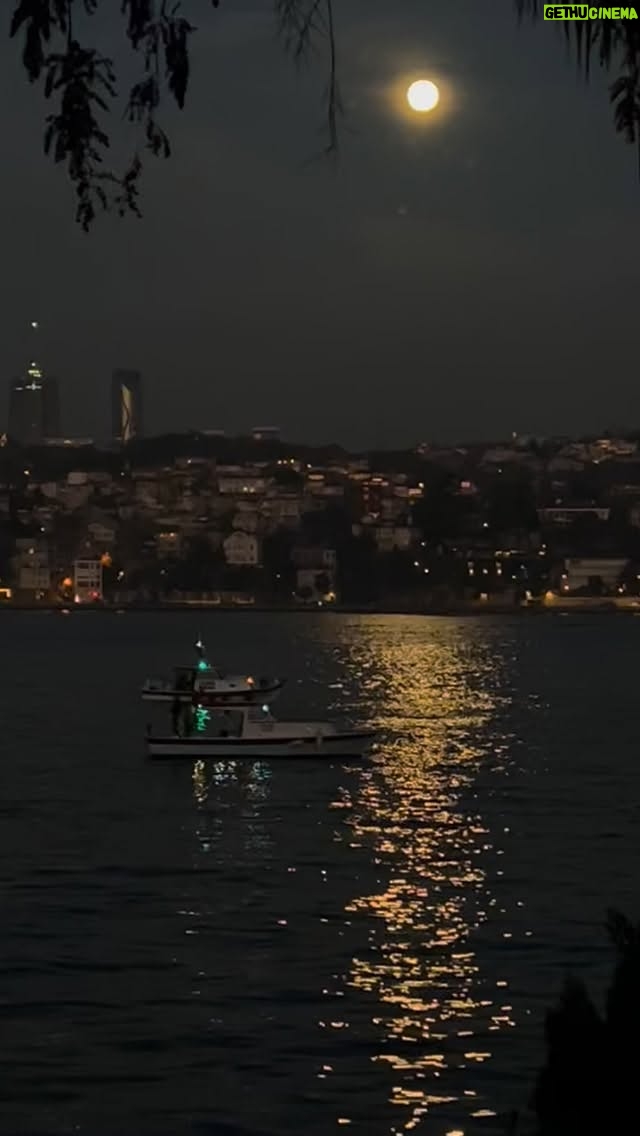 Gülşen Bubikoğlu - 2.1K Likes - Bu sabah🌕