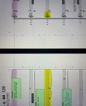 Hania Rani Instagram - NON FICTION IS OUT NOW! 

Piano concerto in four movements, composed and performed by Hania Rani and Manchester Collective, with guest performances by Jack Wyllie (soprano saxophone) and Valentina Magaletti (percussion, timpani), conducted by Hugh Brunt. Recorded on the 29,30 and 31st of January at Studio 2 Abbey Road Studio in London.

It was a mad, beautiful adventure. I need to take a couple of minutes to write something more. Enjoy, let this piece embrace you.

Yours 
H