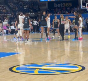 Hannaha Hall Instagram - Had so much fun at the @chicagosky game.