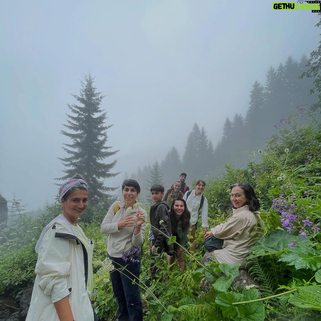 Hare Sürel - 5.5K Likes - Ha boyle 💚🌿⛰️🍐