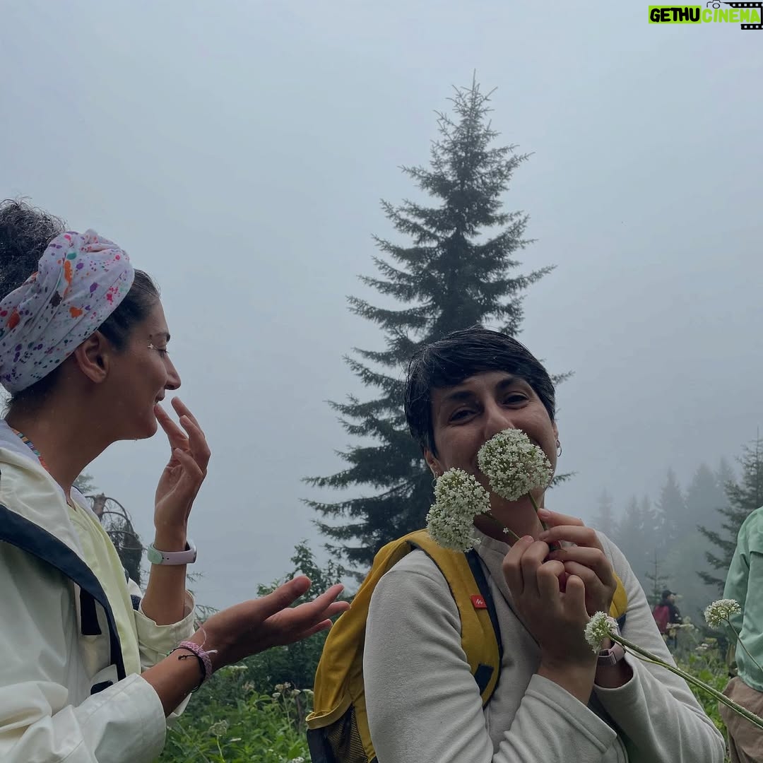 Hare Sürel - 5.5K Likes - Ha boyle 💚🌿⛰️🍐