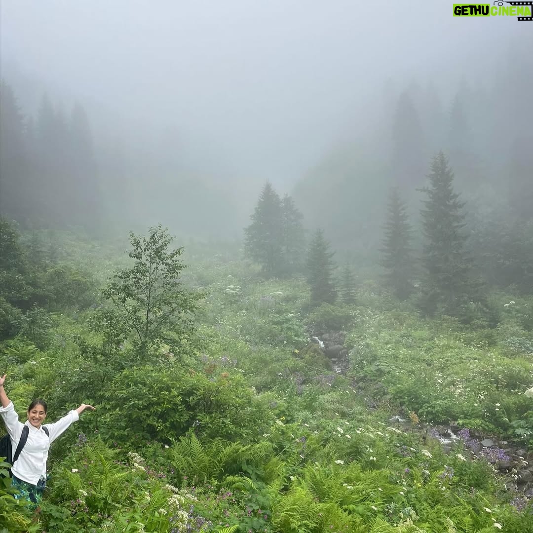 Hare Sürel - 5.5K Likes - Ha boyle 💚🌿⛰️🍐