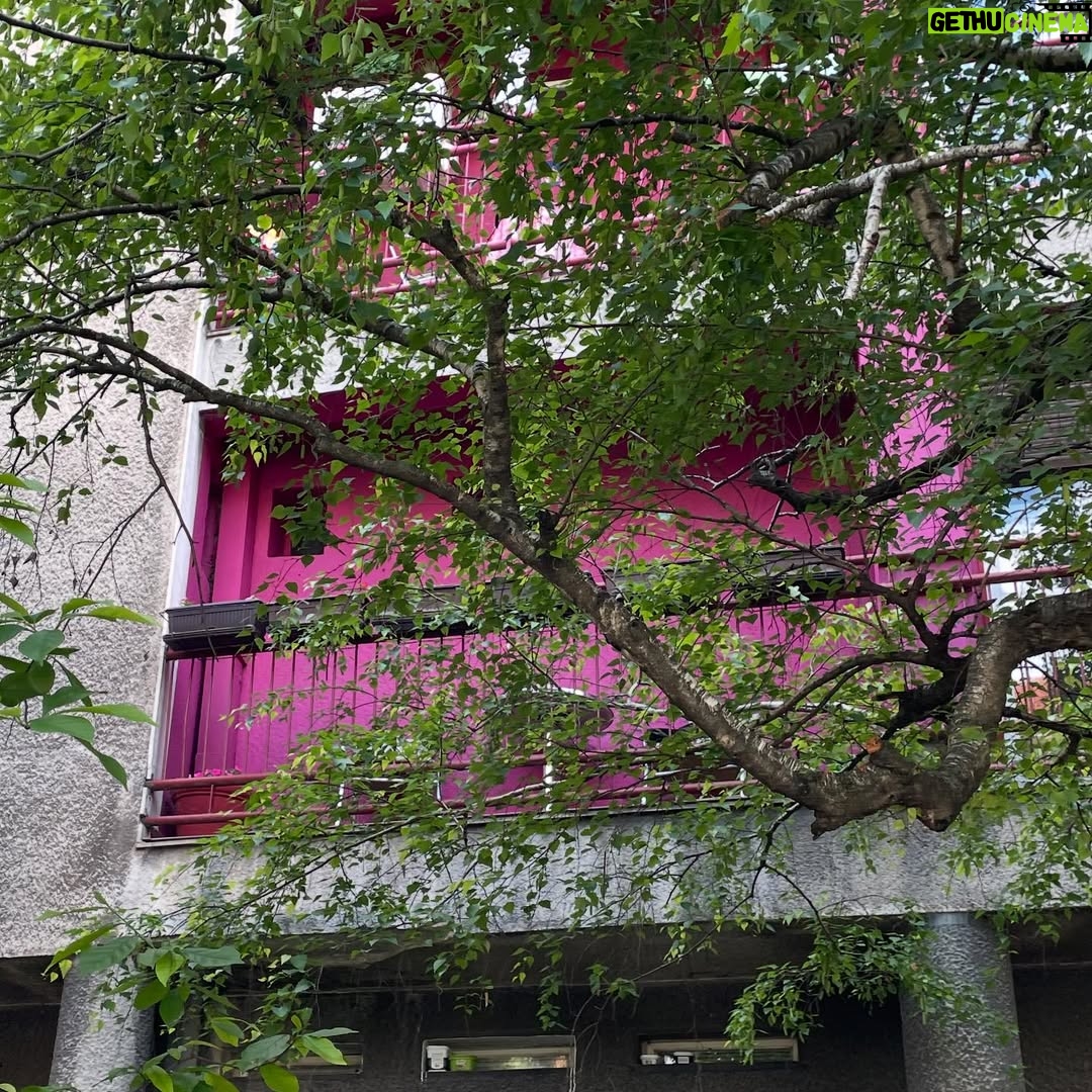 Hare Sürel - 6.5K Likes - 🦎🌸