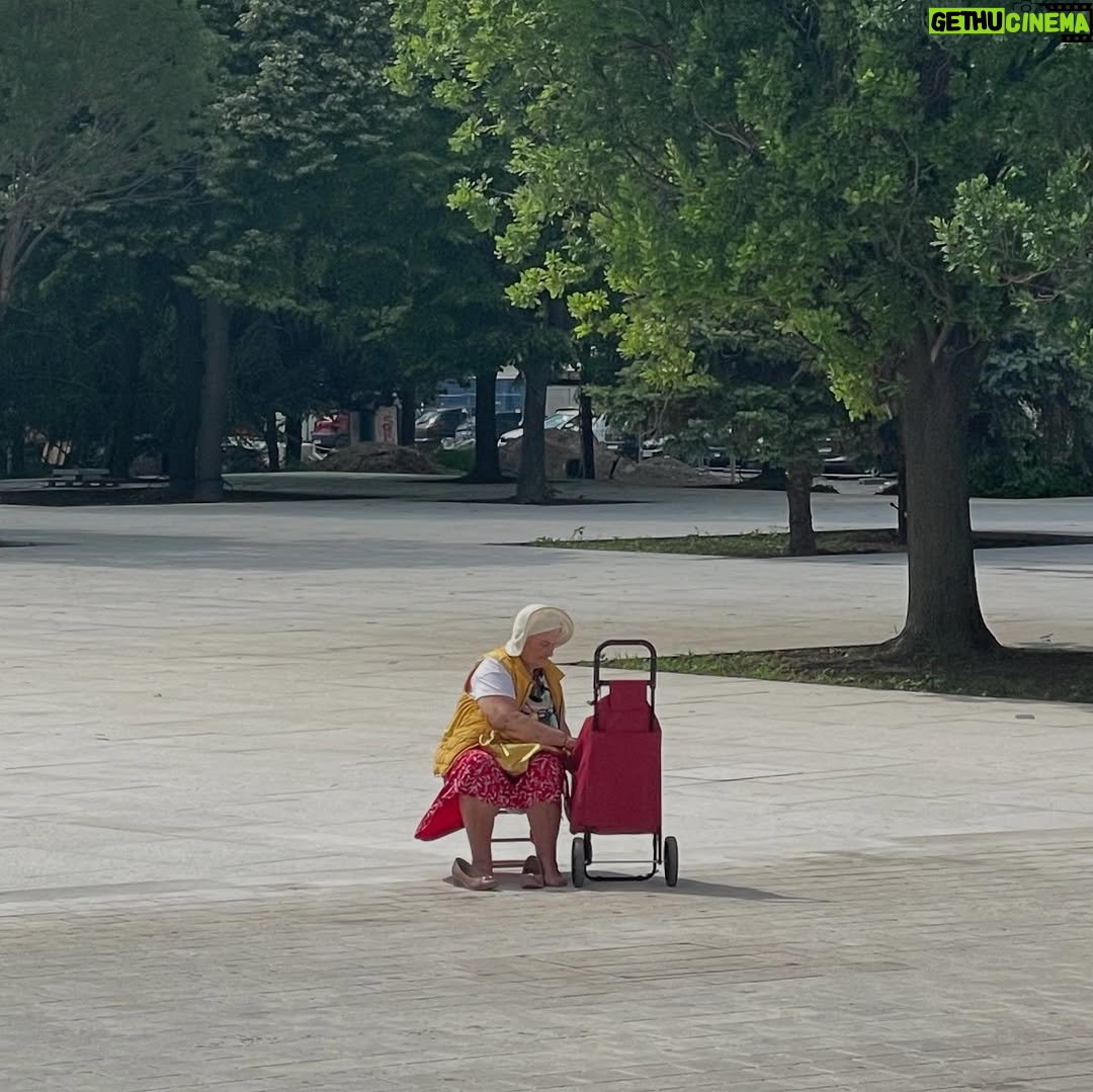 Hare Sürel - 6.5K Likes - 🦎🌸