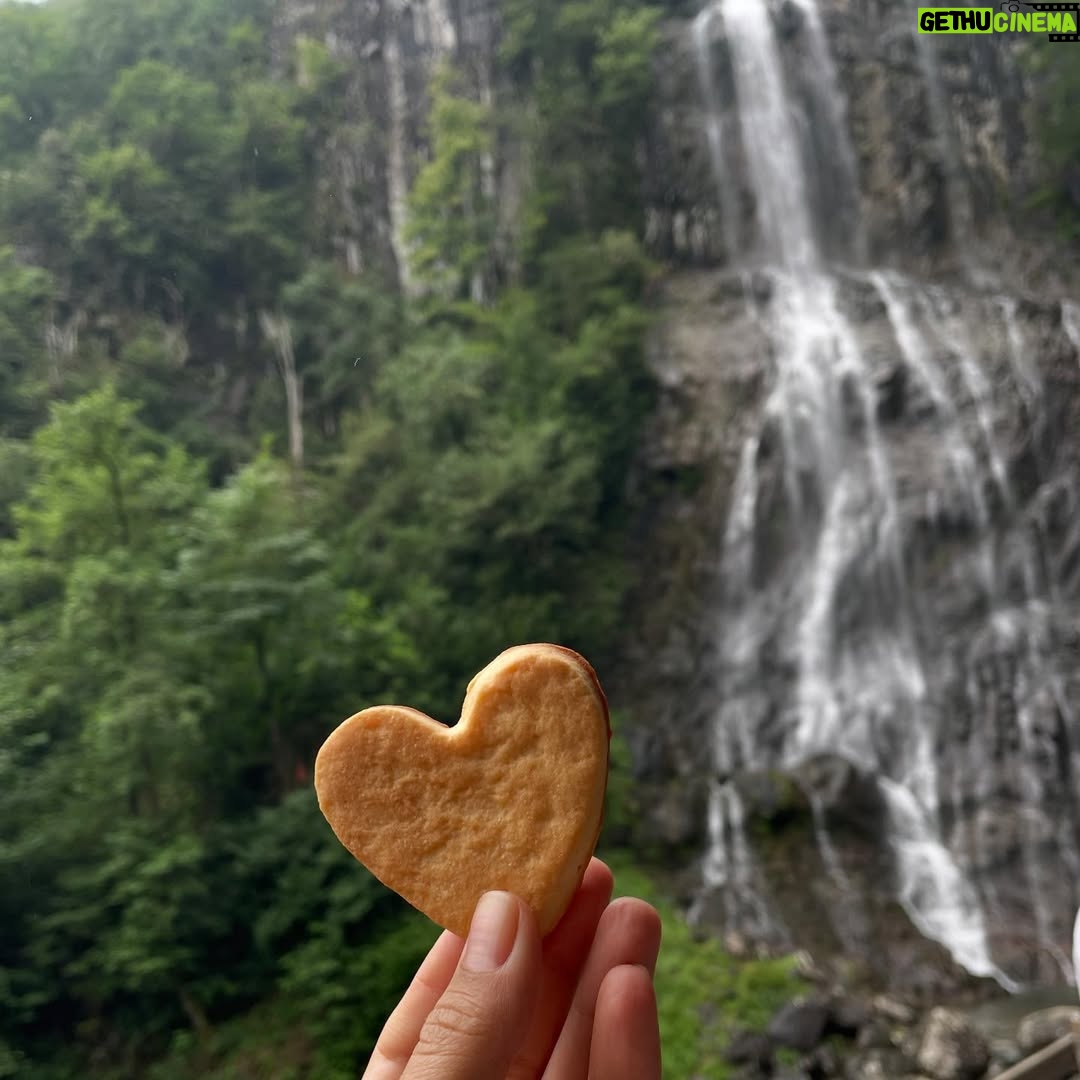Hare Sürel - 5.5K Likes - Ha boyle 💚🌿⛰️🍐