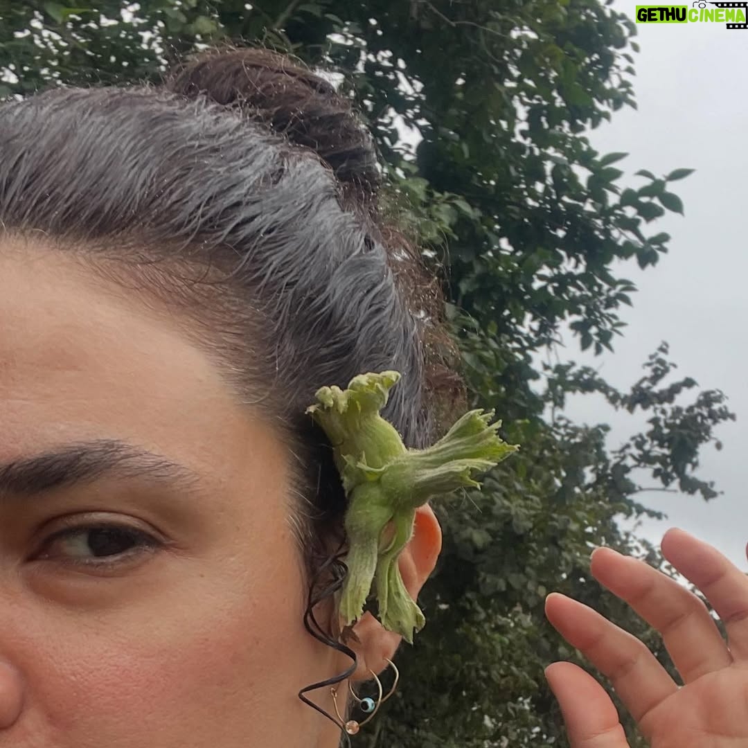 Hare Sürel - 5.5K Likes - Ha boyle 💚🌿⛰️🍐