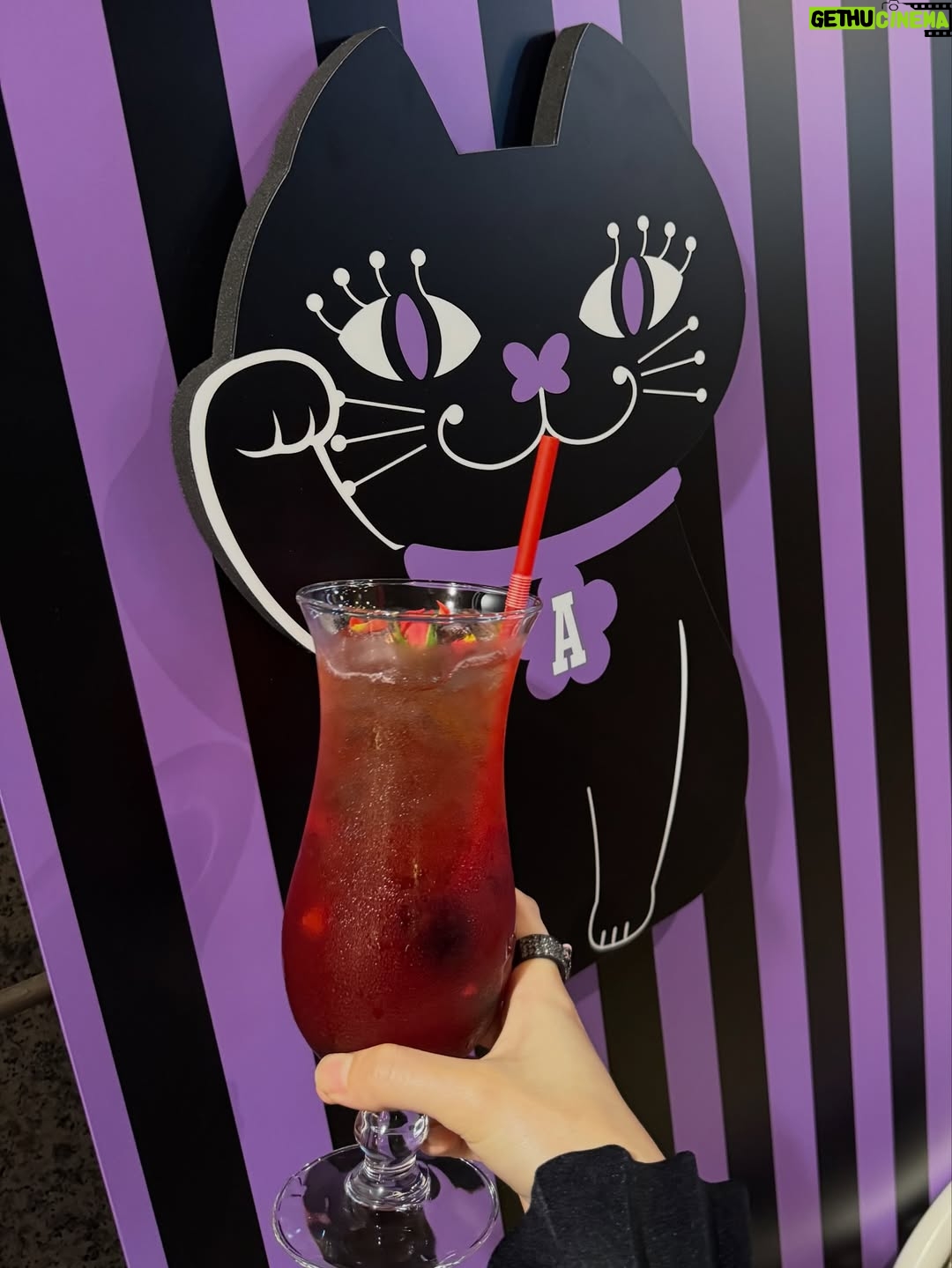 Haruka Shimazaki - 13.4K Likes - 母とANNA SUIのアフタヌーンティー🫖💜
🎀のANNA SUIのリングは母のおさがり

@annasui @stringsomotesandoh
#アナスイ #アナスイアフタヌーンティー
#ザストリングス表参道 #アフタヌーンティー