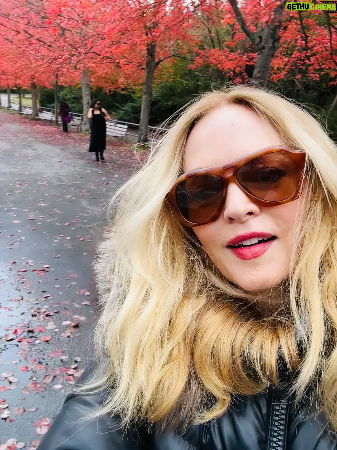 Heather Graham - 113.5K Likes - I’m so excited I got to work with @flanaganfilm and the talented cast and crew on @stephenking’s Carrie🩸for @primevideo . 

And @flanaganfilm has the original Rollergirl rollerskates from Boogie Nights!!!
So I was reunited with my Rollergirl skates as you can see in these photos. Good memories… 🛼🛼💕

We shot the Carrie tv series in Vancouver. Have you been? I think it’s one of the most beautiful cities. I’m obsessed with the bike path in Stanley Park. 🚲🍁
The food there is good… 
🍁❤️🍣🚲🇨🇦✨🌈🛼

#vancouver #carrie #boogienights #rollergirl #bike #bikegirl #bikeride #stanleypark