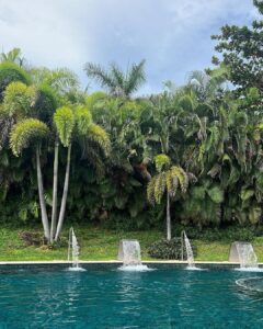 Helena Isabel Patricio Top 100 Instagram Photos and Posts