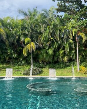 Helena Isabel Patricio Instagram - 🌴