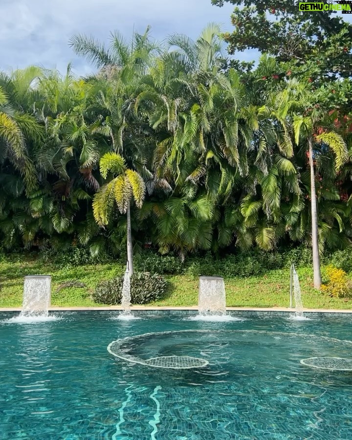 Helena Isabel Patricio - 8.2K Likes - 🌴