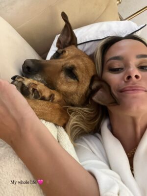 Helena Isabel Patricio Instagram - My whole life 🩷
Os meus cães são o meu suporte emocional.
São casa. São amor. São colo.
Uma casa sem cães, é uma casa vazia!
Anseio pelo dia em que possamos ter mais liberdade para viajar juntas sem que tenham que passar por todo um processo de muita ansiedade ✈️ e que possamos poder partilhar mais espaços juntas.
Faltam poucos dias para o final do ano, e não tem como não partilhar convosco o bem elas me fazem 🩷