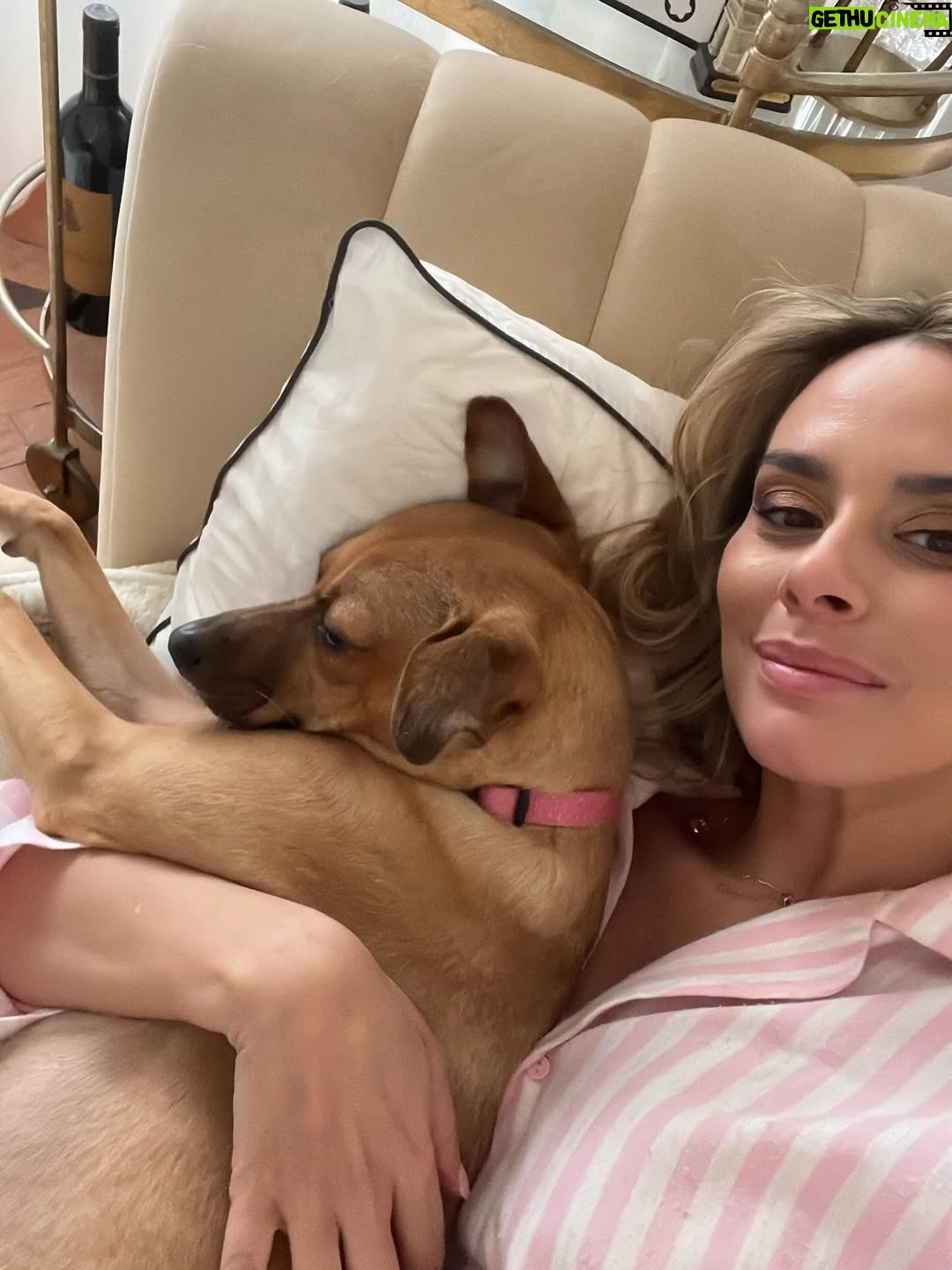 Helena Isabel Patricio - 2.4K Likes - My whole life 🩷

Os meus cães são o meu suporte emocional.
São casa. São amor. São colo.

Uma casa sem cães, é uma casa vazia! 

Anseio pelo dia em que possamos ter mais liberdade para viajar juntas sem que tenham que passar por todo um processo de muita ansiedade ✈️ e que possamos poder partilhar mais espaços juntas.

Faltam poucos dias para o final do ano, e não tem como não partilhar convosco o bem elas me fazem 🩷