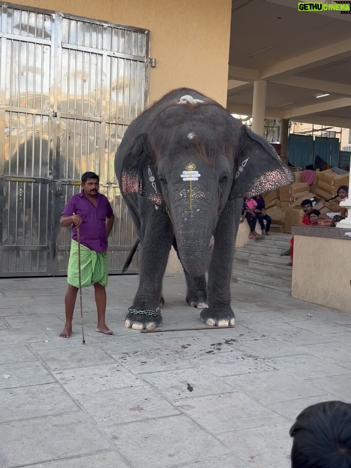 Hema Dayal - 40.5K Likes - Tiruchendur and mutharamman temple🙏🏻🥰
2025 #dasara 
.
.

#mylove❤️ #thiruchendur #mutharamma #hemadayal18 #hemadayal #hema #explorepage✨ #explorepage #explorar #explorepic