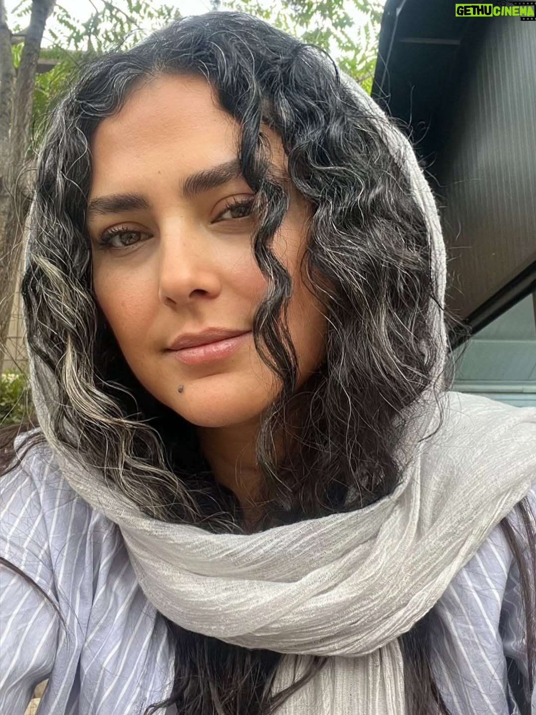 Hoda Zeinolabedin - 207K Likes - و اين معجزه ي ما بود كه بارها چيزهايي را كه داشتيم از دست داده بوديم و باز توانسته بوديم بخنديم…